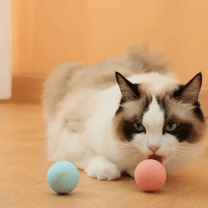 1pc Smart Cat Toys Rolling Ball Pet Cat Owner Interactive Toys Automatic Bouncing Ball USB Self Hi Teasing Kittens Jumping Ball