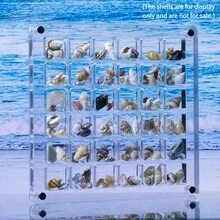1 Hộp trưng bày vỏ từ tính acrylic trong suốt với 36 ngăn, lý tưởng để làm quà lưu niệm, quà tặng và bộ sưu tập - trong suốt - Xem 7