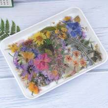 160入組/4套「野性原野」系列PET裝飾貼紙組，適用於日記剪貼簿、DIY植物相冊材料 - 彩色 - 查看 6