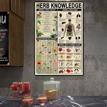 1 pieza, Cartel de hierro con conocimientos en hierbas (8''x12''/20cm*30cm), Cartel de metal, Cartel de hojalata para la guia de estudio de la Farmacia, Poster Infográfico del Kit de primeros auxilios herbales, Decoración de pared de cocina, oficina, farmacia, casa - Multicolor - Ver 2