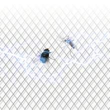 One Battery-Powered Fly Swatter, A Household Electric Mosquito Swatter Suitable For Dormitories. It Is Small And Portable, Suitable For Car And Outdoor Use. It Is A Lightweight Small Outdoor Mosquito Repellent And Electric Mosquito Swatter (Without Battery).