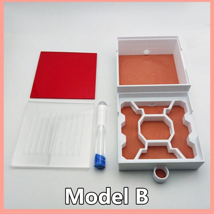 Trang trại kiến Nhà kiến cho trang trại kiến cho người lớn Nghiên cứu về hành vi của kiến Tổ kiến Ant Terrarium Giáo dục Formicarium cho kiến sống và kiến chúa không có kiến - trắng - Xem 4