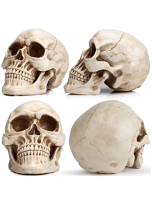 Modelo de Calavera Humana de tamaño Real, réplica Realista de Cabeza de Calavera Humana