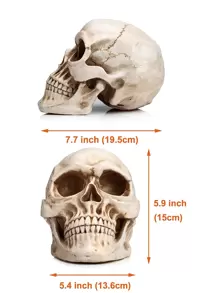 Modelo de Calavera Humana de tamaño Real, réplica Realista de Cabeza de Calavera Humana