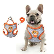 狗狗胸背帶及牽繩套裝，抗拉力安全背心，行走更舒適，減少拉力，反光寵物胸背帶 - 橘色 - 查看 1