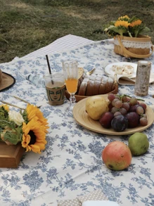 Cirelle Vintage Style Ins Blue Floral Outdoor Camping Picnic Blanket, Decor, Rama Family Style, Picnic Eseentials, Family Outing Use, Camping Supplies, Holiday Vacation Use