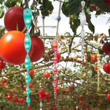 10PCS Spiral Shape Wind Spinner Reflective Deterrent Bird Deterrent Rods Hanging Wind Catcher Rotating Wind Chime Garden Decor - Multicolor - View 4