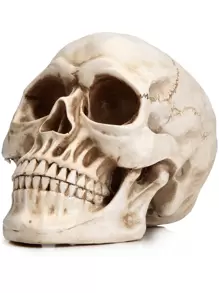Modelo de Calavera Humana de tamaño Real, réplica Realista de Cabeza de Calavera Humana