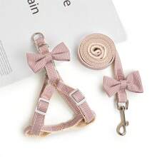 Arnés de perro con correa estilo chaleco para mascotas como Teddy, cachorros Pomeranianos, paseo con correa