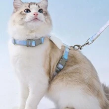 Correa para gato con arnés ajustable y hebilla anti-escape, ideal para perros para caminar al aire libre - Multicolor - Ver 6