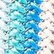 Multicolor