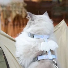 Correa para gato con arnés ajustable y hebilla anti-escape, ideal para perros para caminar al aire libre - Multicolor - Ver 5