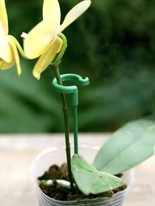 5入組盆栽支架/花蔬爬繩支架/陽台創意裝飾支架固定植物固定柱園藝花植物枯枝烘干固定材料玻璃纖維茎support支撐杆花藤 - 綠色 - 查看 8