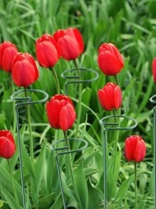 5入組盆栽支架/花蔬爬繩支架/陽台創意裝飾支架固定植物固定柱園藝花植物枯枝烘干固定材料玻璃纖維茎support支撐杆花藤 - 綠色 - 查看 5