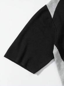 Men Spring And Autumn New Style Preppy Style Sport Sweater, Neutral Polo Neck Knitted Short Sleeve