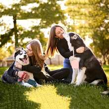 1 件硅胶狗狗训练零食袋带夹，便携式宠物零食袋，适用于旅行狗狗零食袋狗狗零食袋遛狗袋 - 彩色 - 查看 10
