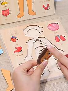 1入組人體構造拼圖，人體部位玩具器官模型玩具，人體學習玩具解剖器官模型解剖玩具，兒童教育玩具教學輔助工具，木製兒童玩具 - 男孩 - 查看 8