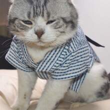 Pet Dog And Cat Japanese Style Kimono, Spring/Summer - Royal Blue - View 1