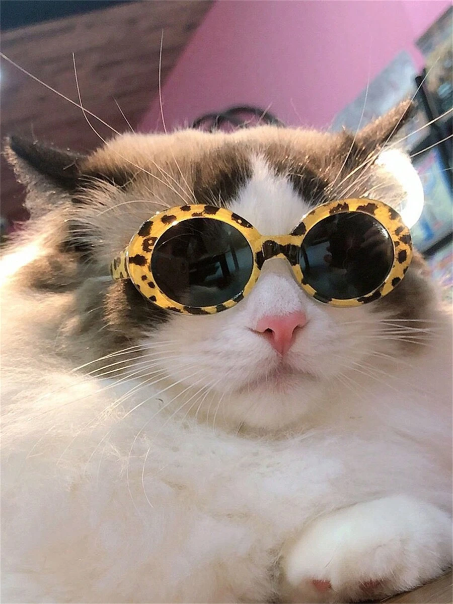 Pet Cat/Dog Windproof Sunglasses, Suitable For Teddy/Bichon Frise/French Bulldog, Perfect For Beach/Seaside Photoshoots - Multicolor - View 1