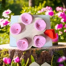 6 piezas/1 set Taza de bebida para insectos abejas, bebedero para colmena y dispensador de agua para abejas - Multicolor - Ver 3