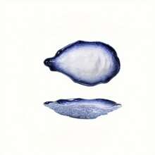 1 件复古日本餐厅陶瓷寿司盘，牡蛎壳形生鱼片拼盘，小开胃菜盘，厨房，圣诞礼物