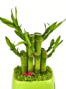 20/30 Stück rote Mini-Pilz Waldlandschaft Deko, Miniatur Garten, Outdoor Geburtstag Heim Büro Garten Party Kuchen Deko, DIY Basteln