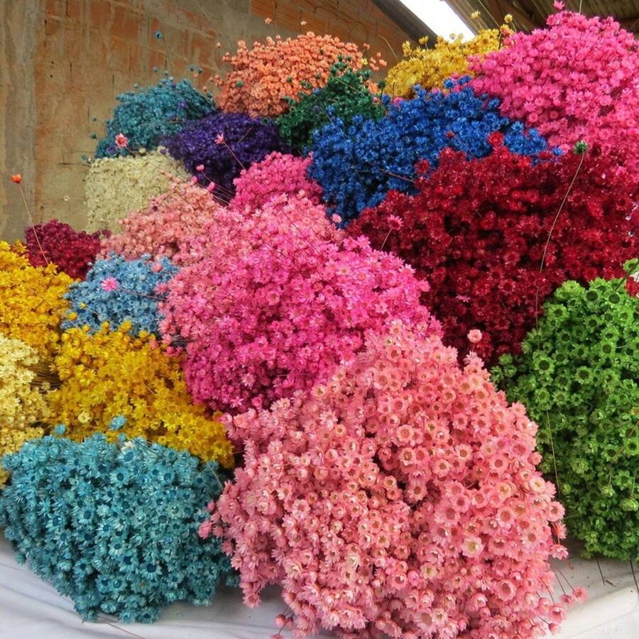 250 Small Flowers Everlasting Flower Decoration, Wedding Souvenirs - Blue - View 1