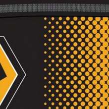 Wolverhampton Wanderers FC Fade Pencil Case (Yellow/Black) - Yellow/Black - View 2