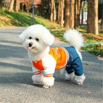 1pc Numeric Print Pet Shirt, Spring/Autumn Lightweight 4-Leg Leash Design For Small Dogs Like Teddy, Suitable For Cats & Dogs