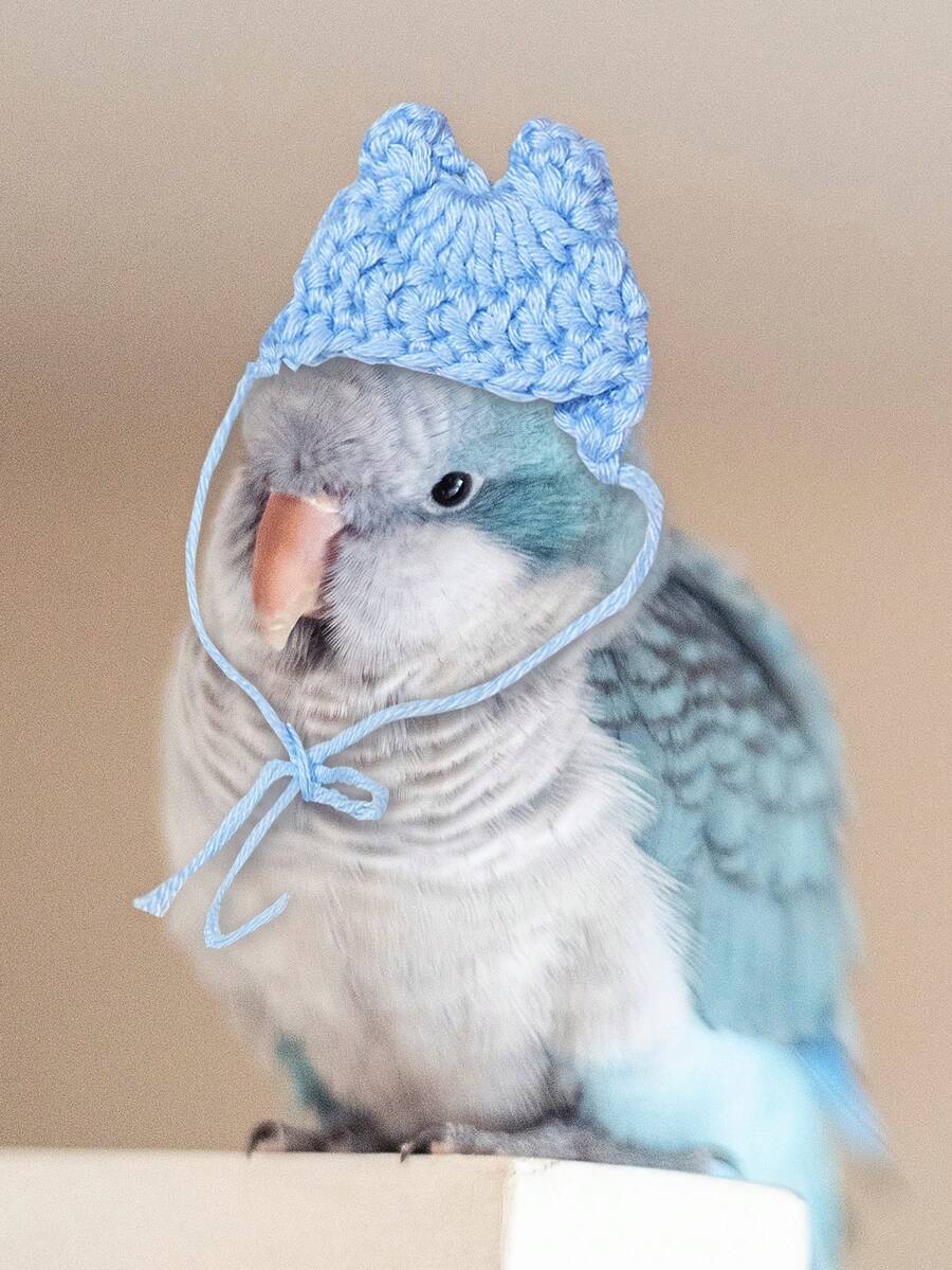 1個實色可愛鸚鵡裝飾針織帽子 - 彩色 - 查看 1