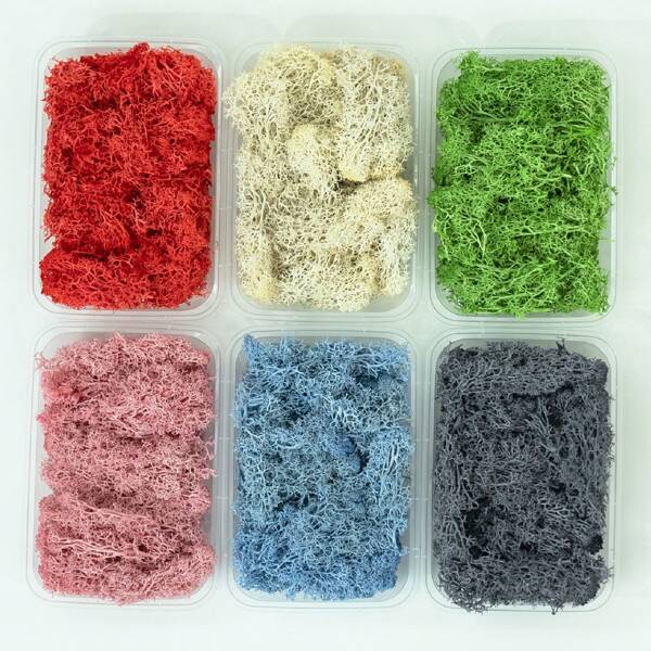 1 Box Artificial Moss Plants, Forever Moss For Home Decoration, Festival Photography Prop, Fairy Garden, Crystal Tank, Crafts And Wedding, DIY Garden & Aquarium Decoration