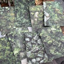 每本30張復古自然背景素材紙張，老式自然手帳苔蘚木紋樹皮質地剪貼簿紙張背景 - 彩色 - 查看 6