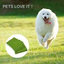 1/510pcs  Artificial Moss Turf Lawns Green Plants DIY Micro Landscape Decoration Fake Grass Lawn For Home Mini Garden Floor Accessories - Green - View 2