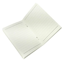 Memo Pads - 恐龍 - 查看 2