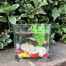 NOMOYPET 1pc Square Glass Fish Tank Set, Living Room Office Desktop Decorative Miniature Goldfish Bowl - Clear - View 5