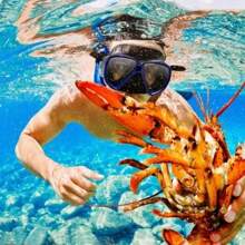 Set de Snorkel para Adultos Gafas de Buceo Panorámicas Antivaho Tubo de Buceo de Cristal Templado con Dos Juegos de Tapones Impermeables Apto para Snorkel, Natación - Azul - Ver 7