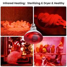 1pc Heat Lamp For Chickens Coop Brooder And Reptile Heat Bulb 150 Watt Infrared Red Light - Multicolor - View 3