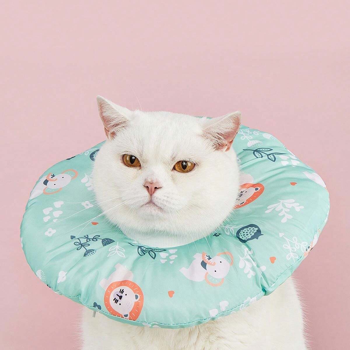 5 Cintas Para El Pelo De 3 Cm De Ancho, Diadema, Peinado Par | Cuotas