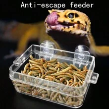 1 Máy Tính Bò Sát Trốn Thoát, Thằn Lằn Nhện Tắc Kè Rắn Tắc Kè Thức Ăn Và Bát Nước Cho Hộp Đựng Thủy Tinh, Chăn Nuôi Hộp Ăn, Đồ Dùng Cho Thú Cưng - Xem 3