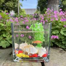 NOMOYPET 1pc Square Glass Fish Tank Set, Living Room Office Desktop Decorative Miniature Goldfish Bowl - Clear - View 3