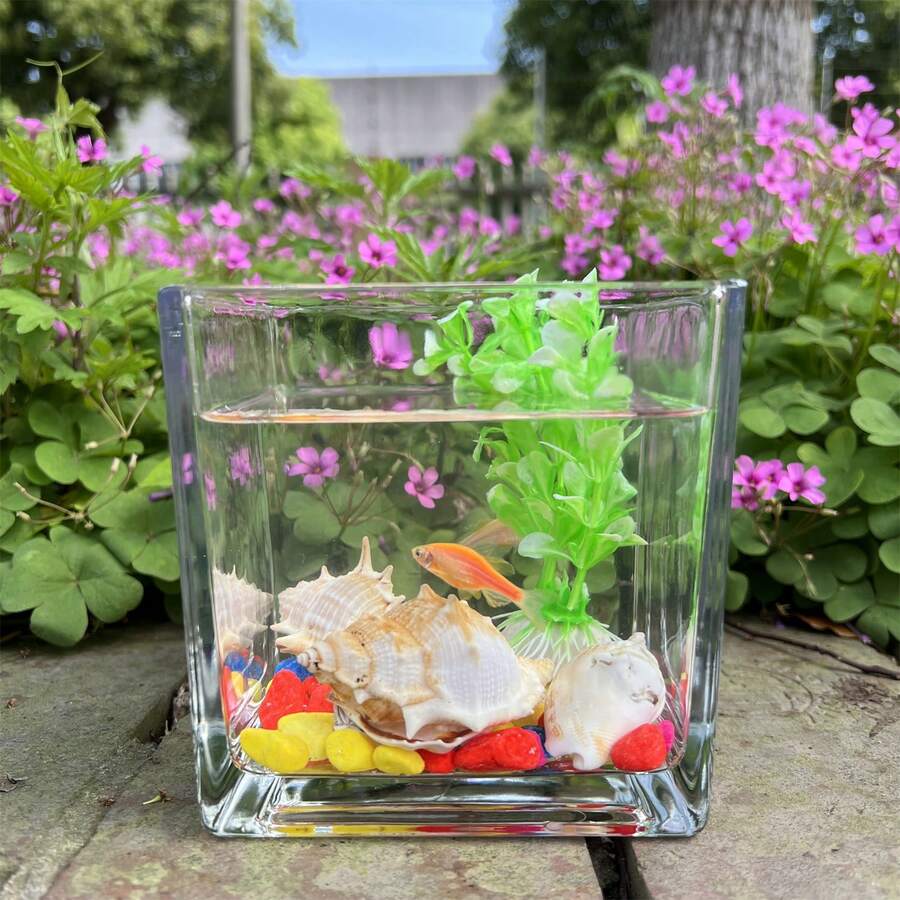 NOMOYPET 1pc Square Glass Fish Tank Set, Living Room Office Desktop Decorative Miniature Goldfish Bowl - Clear - View 1