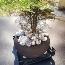 100g/opakowanie Naturalny kryształ Biały turkus, asymetryczny kształt kruszony kamień z polerowaną powierzchnią, do dekoracji domu DIY, wazony, doniczki, akwaria, z dyfuzorami aromatów - Czarne i Białe - Zobacz 7