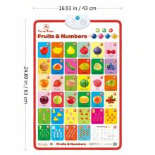 1pc English Speaking Children Educational Sound Wall Chart, Encyclopedia Poster In Box, Interactive Talking Poster For Kids Room Decoration - Talking Poster - View 9