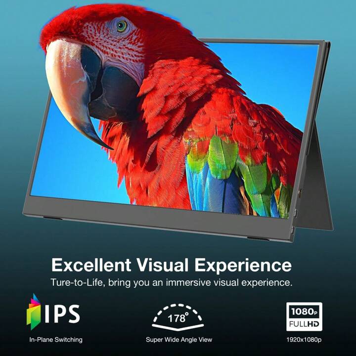 LAEFLAEK P15 15.6インチ ポータブルモニター Amazon.co.jp: モバイルモニター LAEFLAEK モバイルディスプレイ