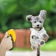 Standard Leashes - 黑色 - 查看 2