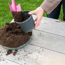 Mini Metal Hand Shovel Digging Small Shovel Transplanting Garden Shovel For Flower Soil Planting Succulents - Multicolor - View 9