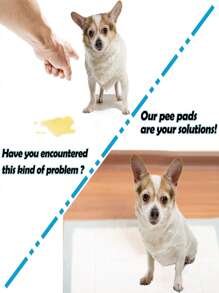 50/40 pièces Super absorbants couches jetables pour chiens et chats, coussin de litière déodorant épais pour les chiots et animaux de compagnie, litière pour chat, produits pour chiens