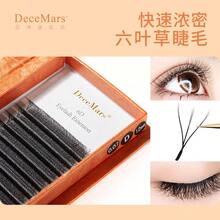 Cílios Decemars 6D W Tamanho Único Volume Egípicio Comprimento mix 8-14mm