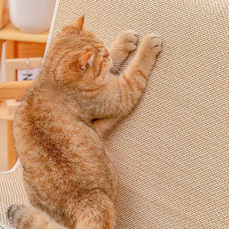 1 pieza Tablero para rascar de gato, almohadilla de protección para sofá adecuada para sofás de tela y, con clavos de fijación y cinta de doble cara - Marrón - Ver 9