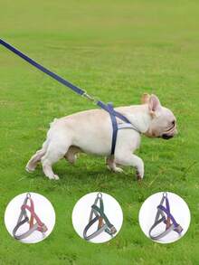 透氣寵物胸背帶及牽繩組合，適用中大型犬，法國鬥牛犬，黃金獵犬，適用春夏散步 - 彩色 - 查看 1
